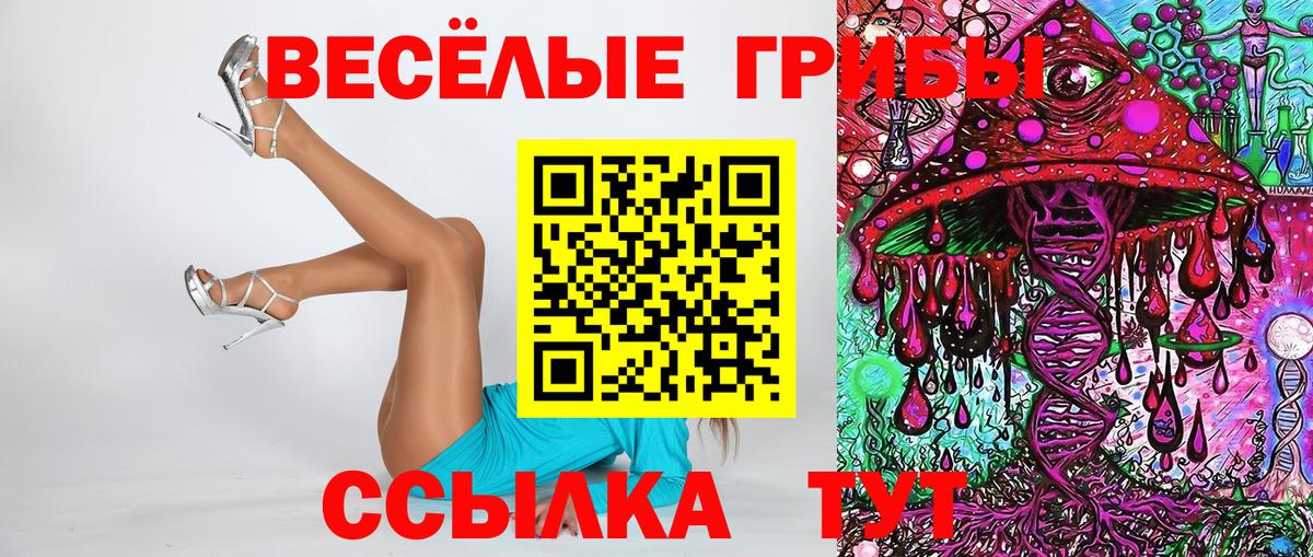 Галлюциногенные грибы мицелий Кириши