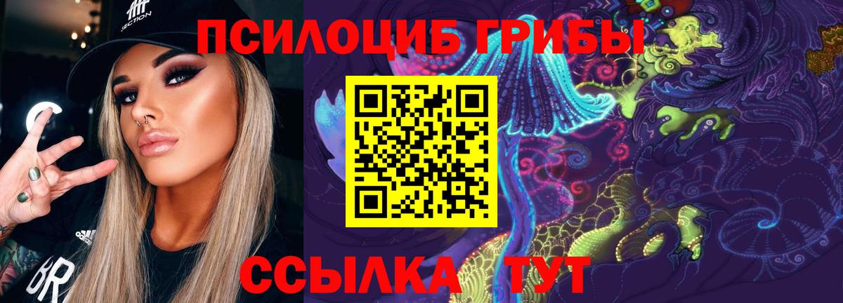 Кириши  Псилоцибиновые грибы ЛСД  Вход с VPN 